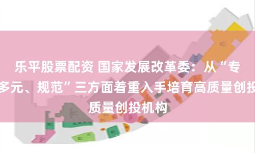 乐平股票配资 国家发展改革委：从“专业、多元、规范”三方面着重入手培育高质量创投机构