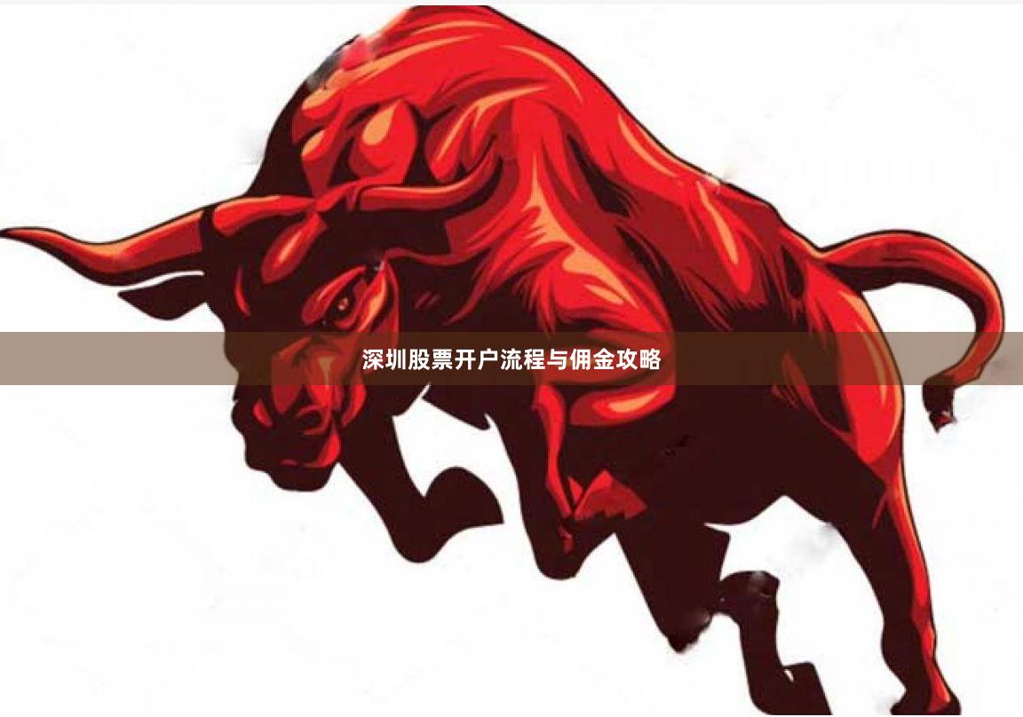 深圳股票开户流程与佣金攻略
